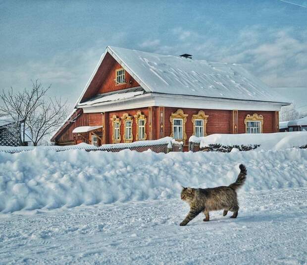 25 фотографий русской деревни, которые вернут вас в детство деревня, детство, ностальгия, русская деревня