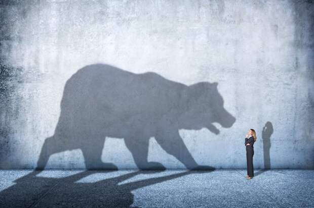 A bear's shadow moving menacingly toward a person in a pantsuit.