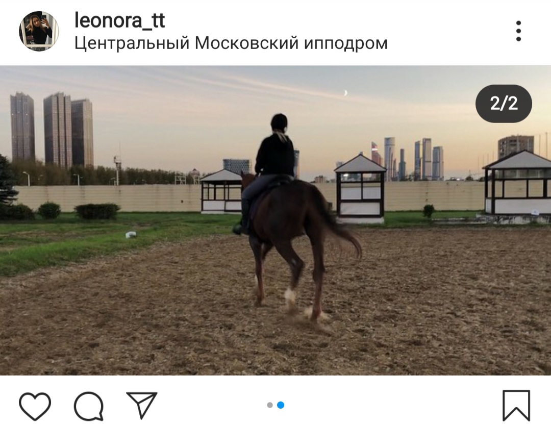 Фото дня: дети природы и города