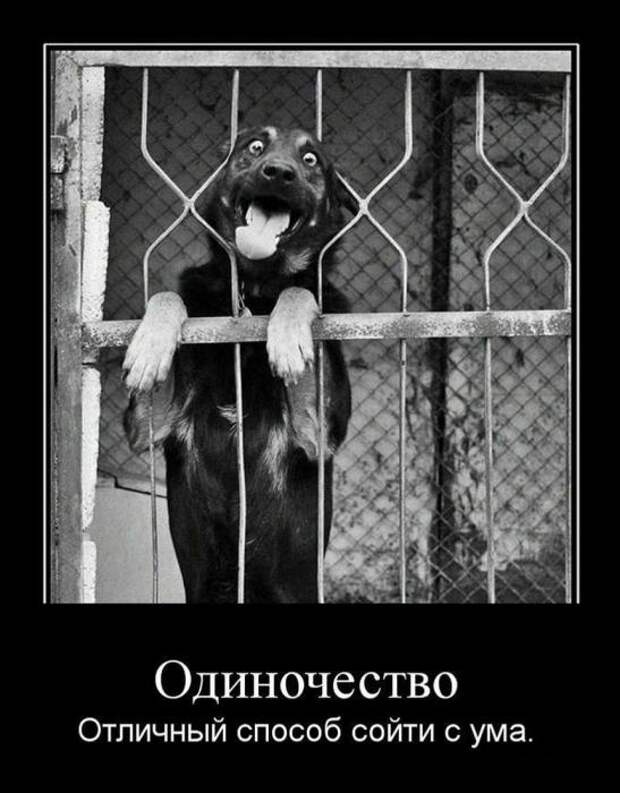 Демотиваторы со смыслом 15/06/11