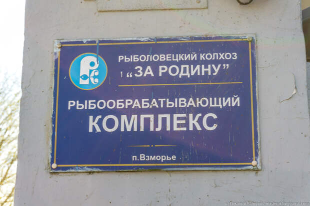 Как делают российские шпроты