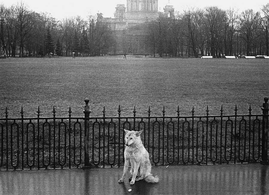 Фотограф Евгений Канаев: «Казань и казанцы в 90-е» 54