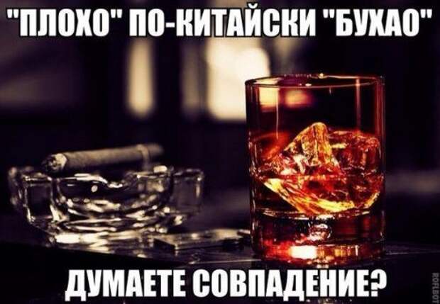 Забавные фотомемы