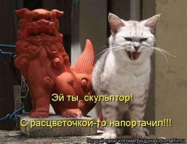 Прикольные животные, котоматрица
