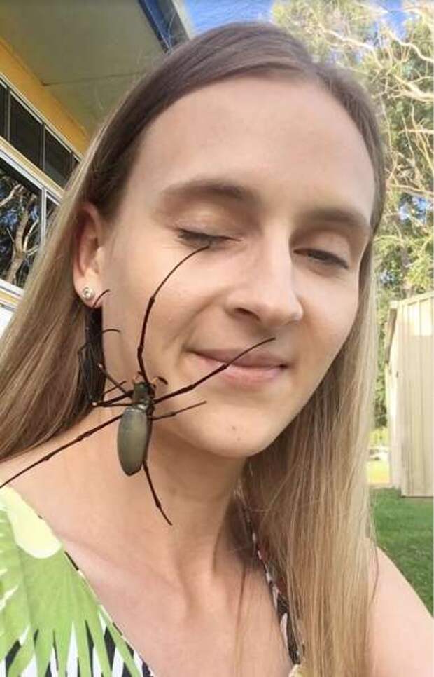Релакс не для слабонервных: австралийка снимает стресс, разрешая паукам ползать по лицу