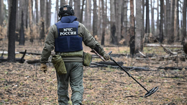 На северо-западе Москвы обнаружен боеприпас времен Великой Отечественной войны