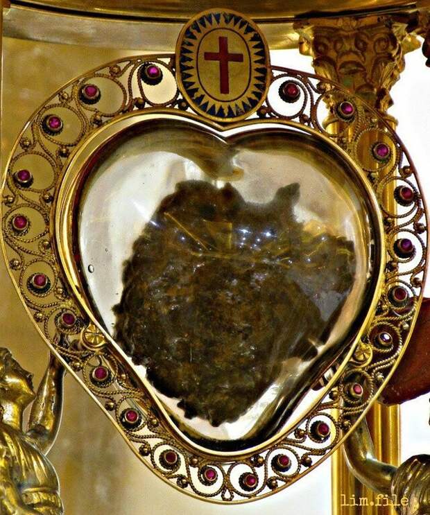 Сердце Святого Камилля де Леллиса, основателя ордена Камилианцев в конце 16 века интересное, исторические факты, мощи, святые, святыня, теперь вы знаете больше