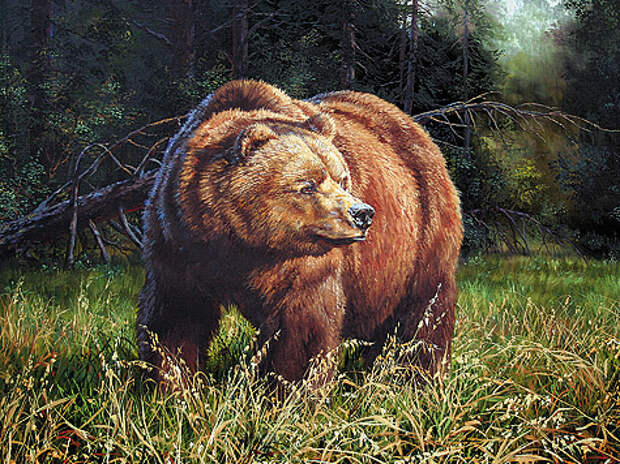 Т. И.Данчурова. Медведь на овсах (2007 г.).