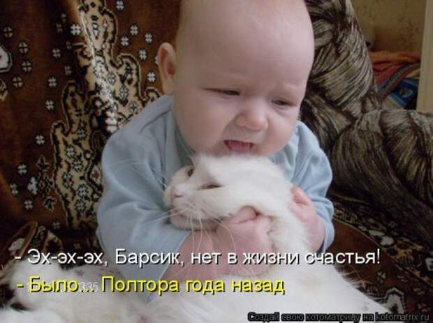 Лучшая котоматрица за неделю (31 шт)