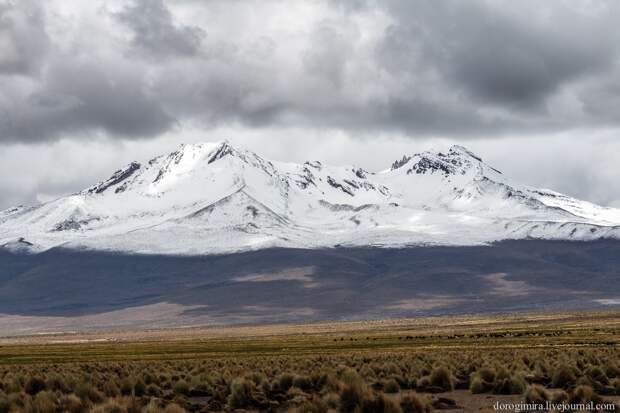 Sajama26 Национальный парк Сахама