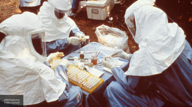 Ученые заявили, что "вирусы-убийцы" могут заразить до 80 млн человек менее чем за два дня
