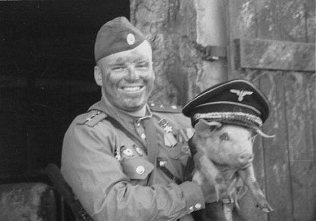 Фотографии вызывающие эмоции фотографии, вызывающие эмоции, красота,