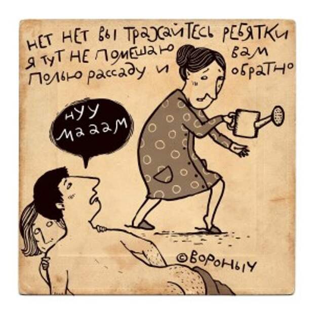 svekrov