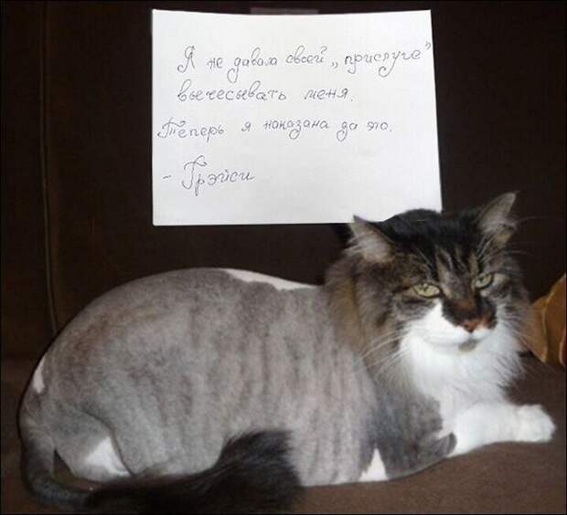 Человек, тебе осталось жить...3...2... Человек, тебе осталось жить...3...2...