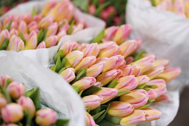 Россиян предостерегли от безудержного веселья 8 Марта