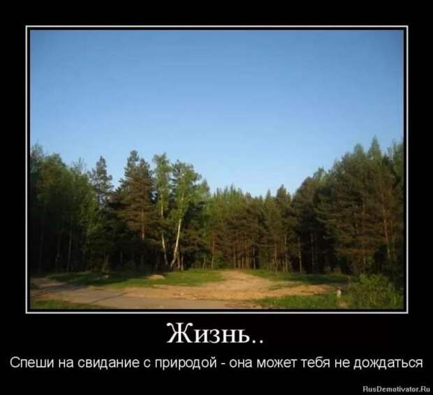 Прикольные демотиваторы с надписями. Подборка chert-poberi-dem-chert-poberi-dem-11530724102020-3 картинка chert-poberi-dem-11530724102020-3