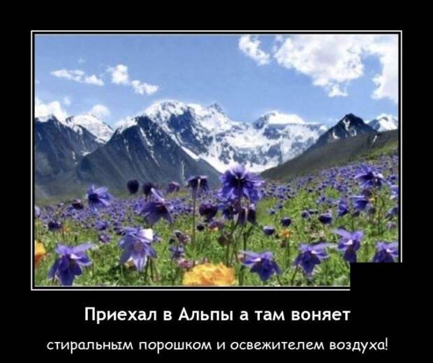 Демотиватор про Альпы