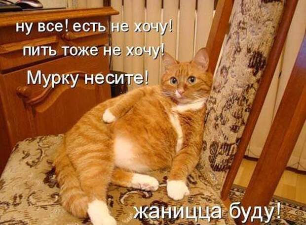 Продолжаем подготовку к Новому Году.