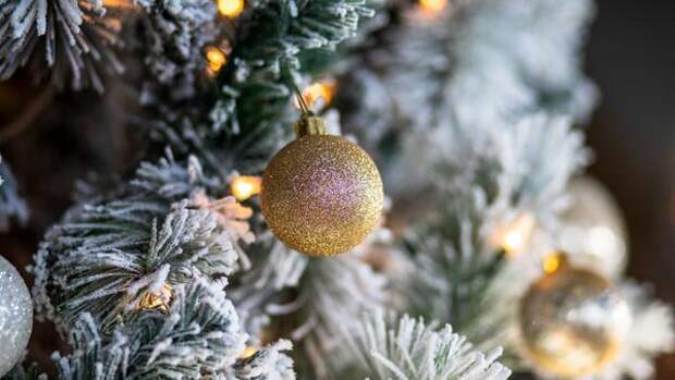 Когда нужно убирать елку в 2026 году — благоприятные даты для привлечения удачи