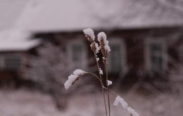 Радоновые источники у деревни Лопухинки в Ленобласти получили охранную зону