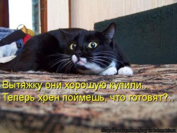 Забавные котоматрицы