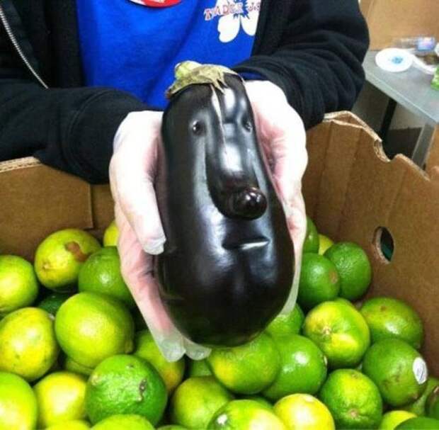 Забавная еда