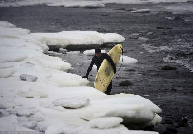 Зимний серфинг на острове Русский во Владивостоке владивосток, жесть, серфинг