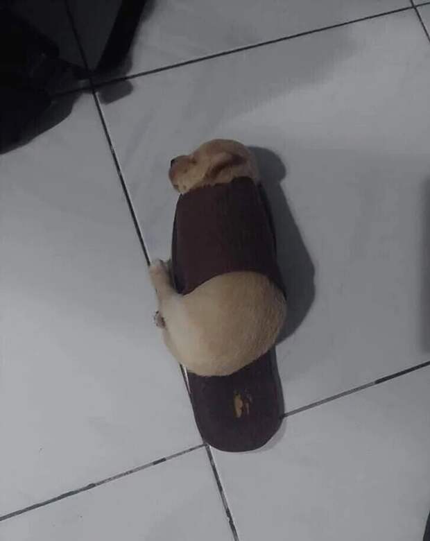 Нужный размерчик Нужный размерчик