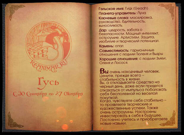 Кельтский гороскоп