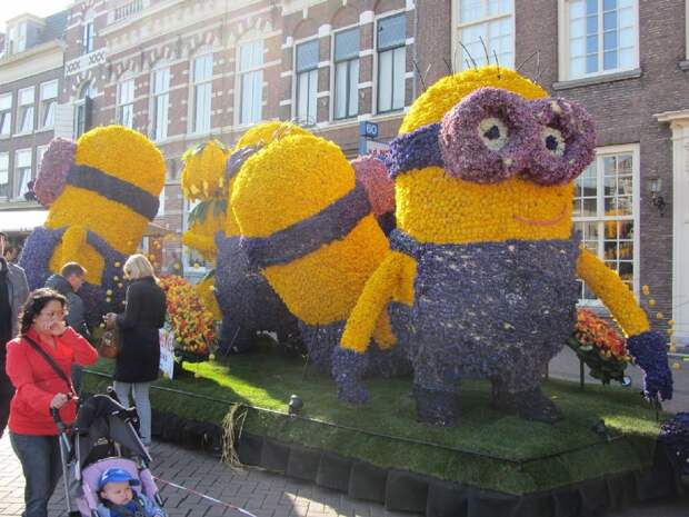 NewPix. ru - Голландский фестиваль цветов Bloemencorso