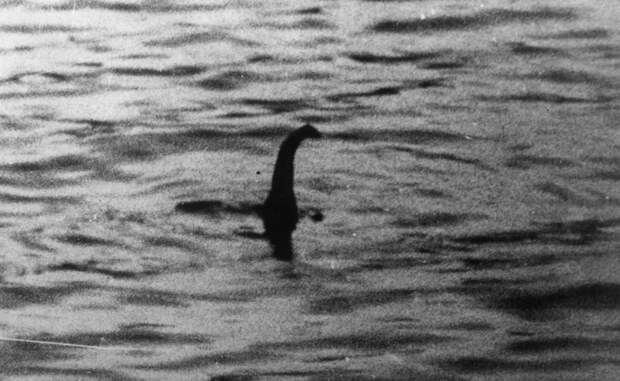 Лохнесское чудовище Самая известная фотография озерного монстра была сделана еще в 1934 году. С тех пор о встречах с Несси отчитались сотни людей, в числе которых есть даже несколько серьезных ученых. В 2014 году история получила новый толчок: на съемках Apple Maps обнаружился странный силуэт, похожий на огромного ящера.