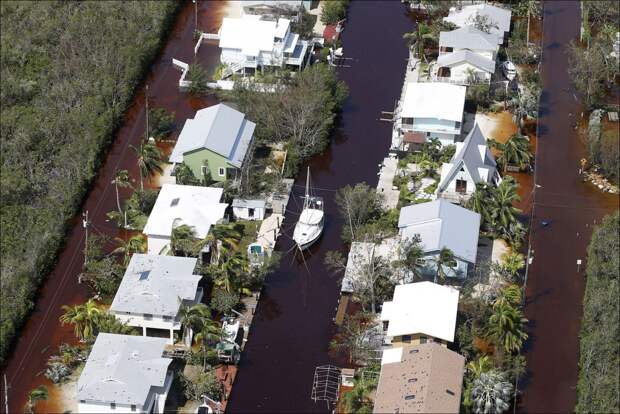 Флорида после урагана «Ирма» (27 фото)