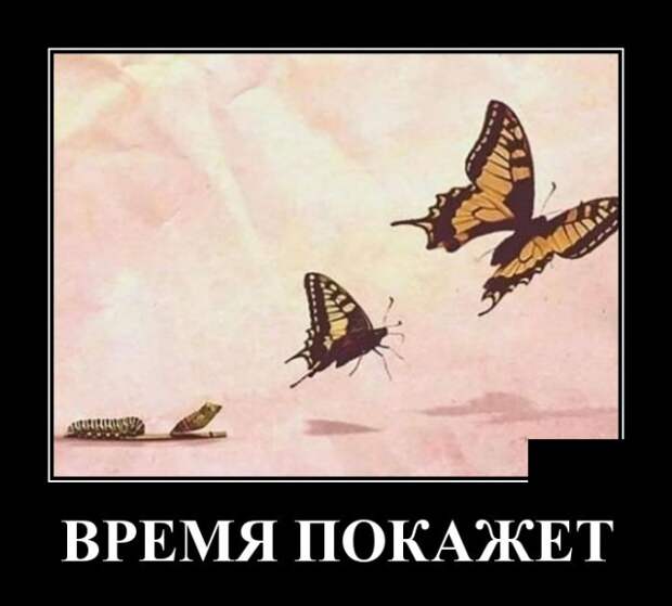 Демотиваторы смешные
