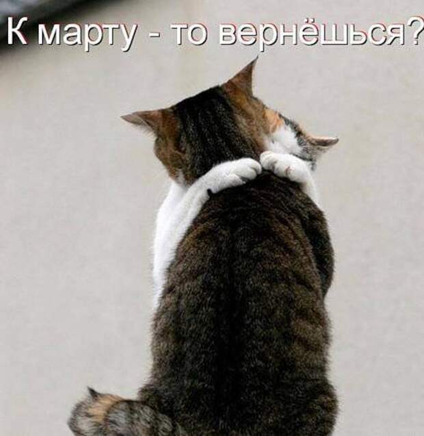 Продолжаем подготовку к Новому Году.