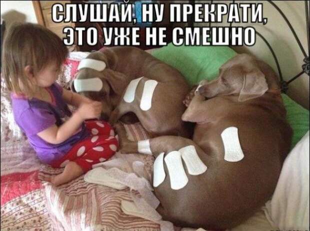 Смешное - невероятное