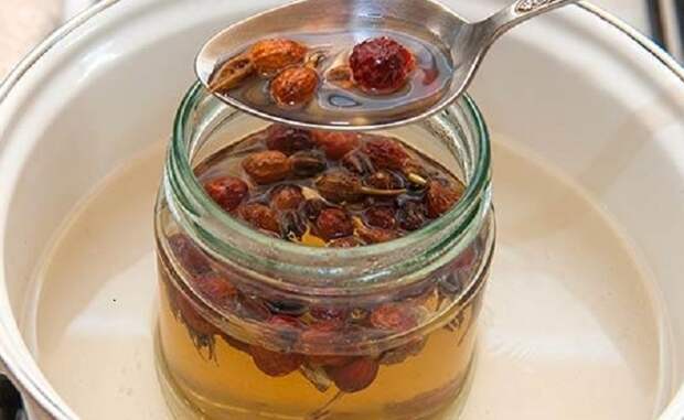 Чтобы содержание витамина было максимальным, лучше сделать отвар из шиповника / Фото: sadikufa.ru