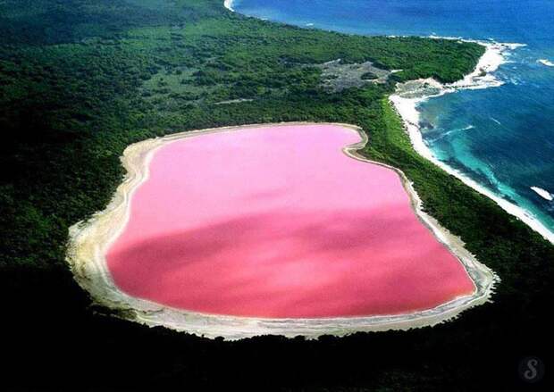 43. Western Australia : Pink Lake of Middle Island