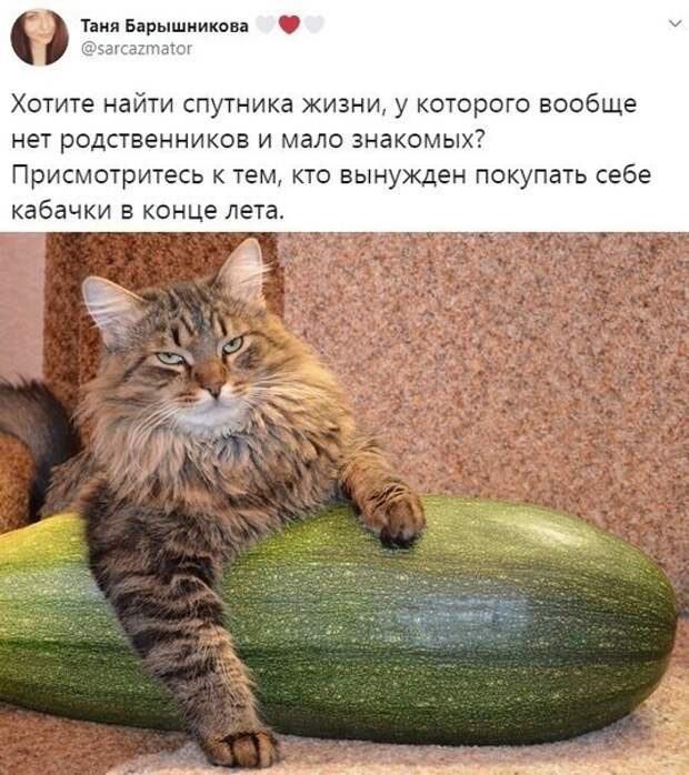 Ищете вторую половину, но есть несколько критериев? Ищете вторую половину, но есть несколько критериев?