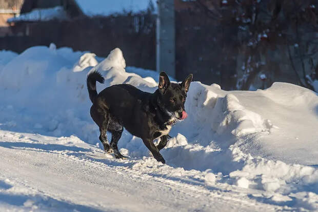 Последний морозный день декабря-2025 ждет новосибирцев в Знамение 10 декабря