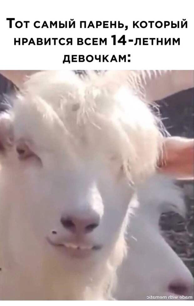 Смешные картинки 15 сентября 2021 года