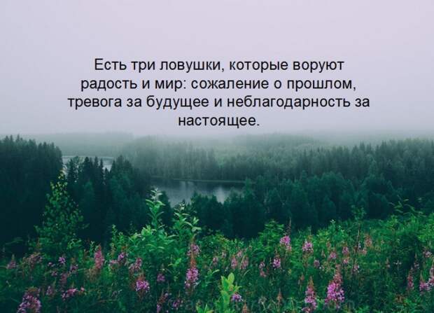 Потрясающие цитаты Ошо о жизни, любви и свободе