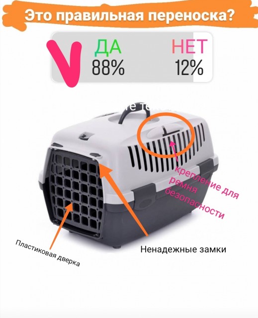 А у вас правильная переноска для кошки?