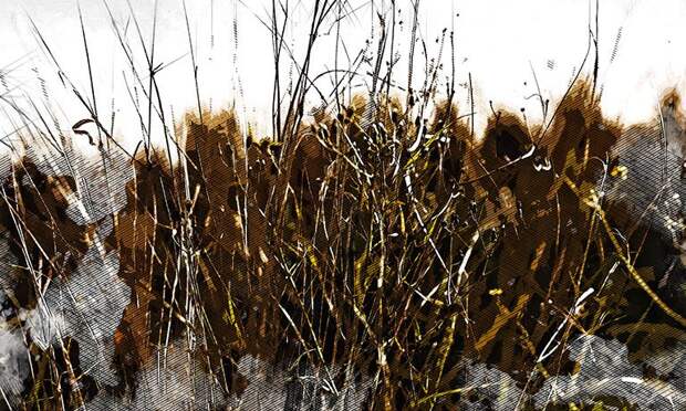 В Орловской области свыше 4,7 тыс. га сельхозземели заросли сорняками