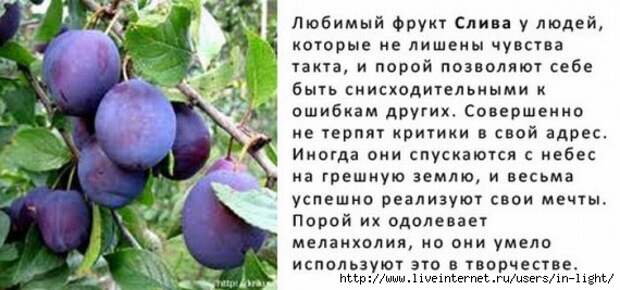 слива (570x267, 113Kb)