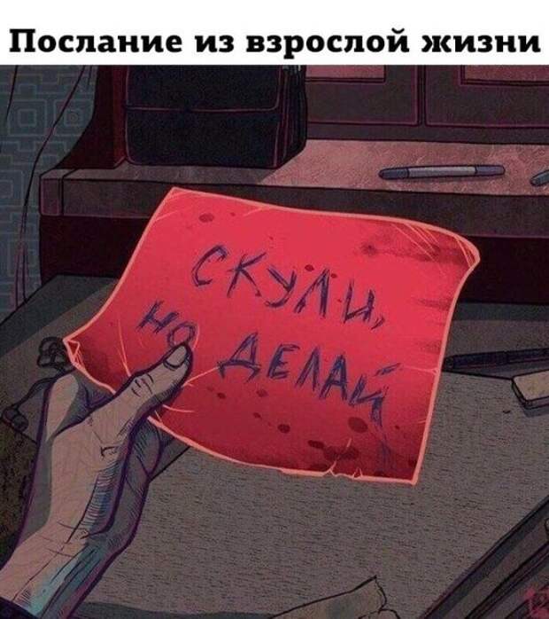 Подборка картинок. Вечерний выпуск (55 фото)