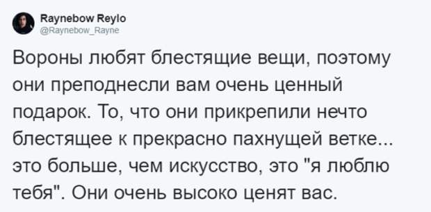 Мужчина четыре года кормил воронью семью, и те принесли ему таинственный дар