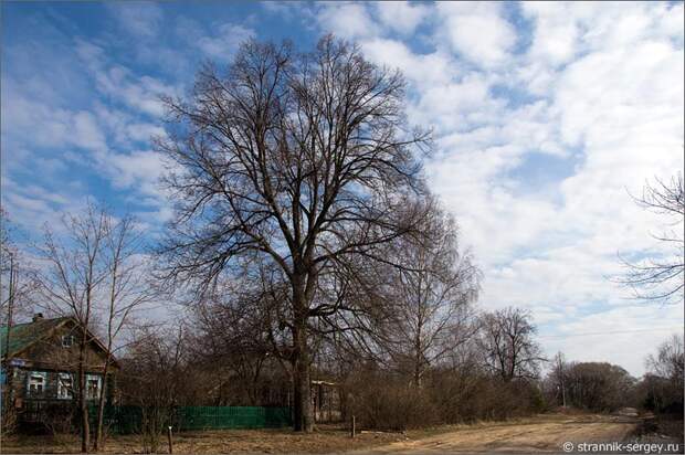 Деревня весенняя прогулка