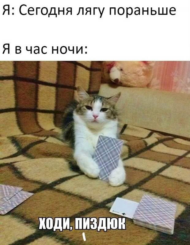 Мемы