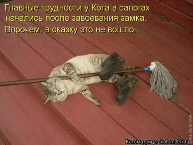 Котоматрицы(картинки с надписями)