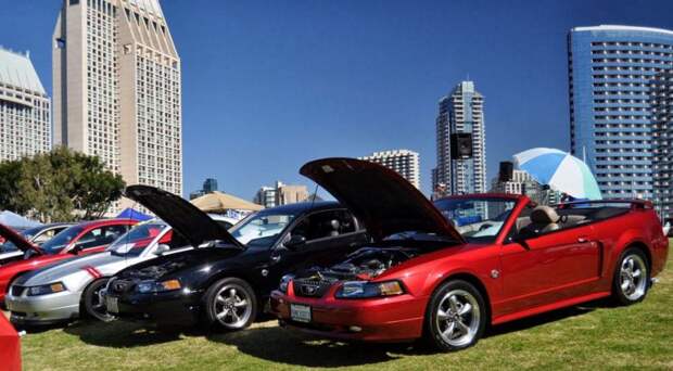авто, ford, mustang